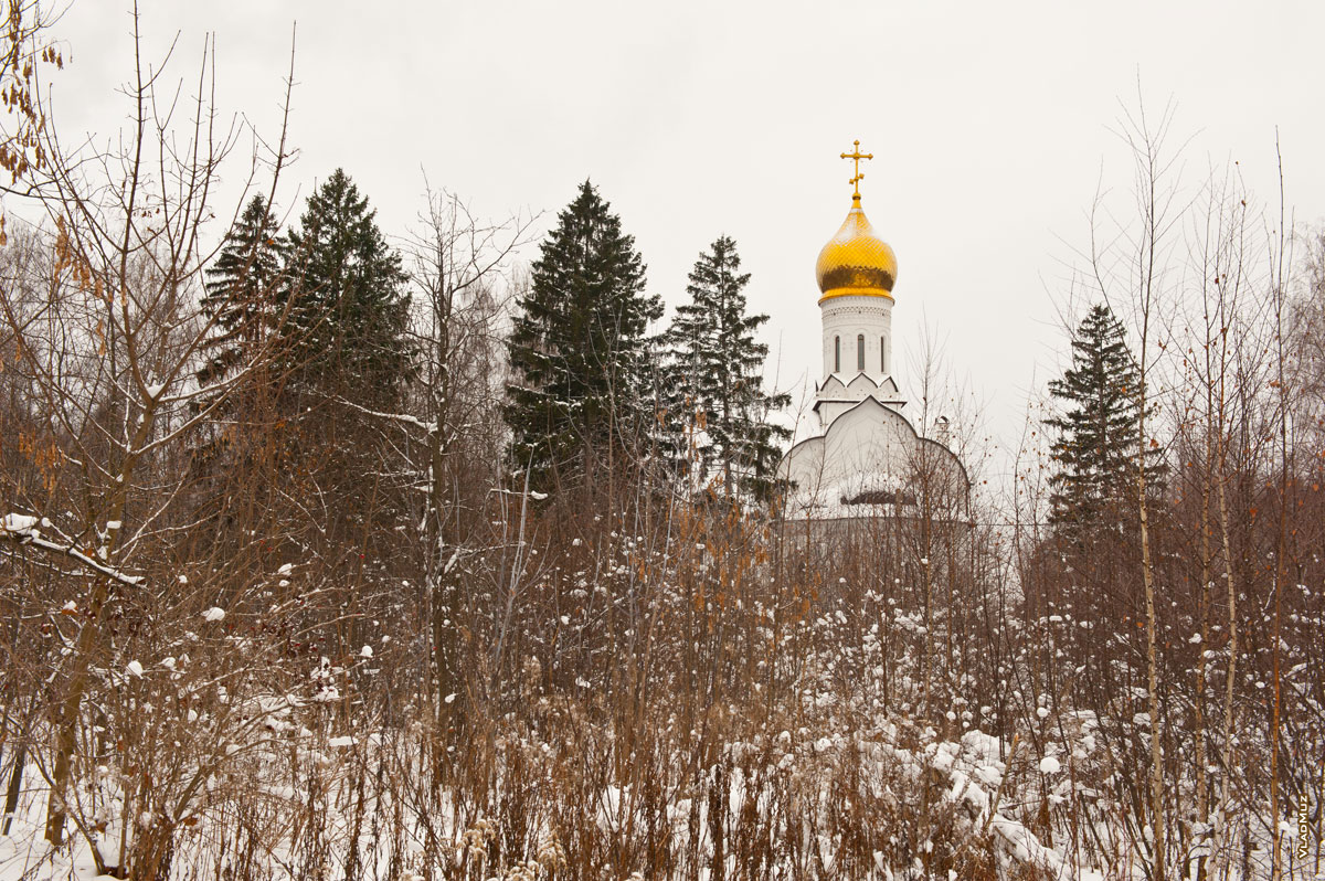 Зимний фотопейзаж в Комитетском лесу: храм Новомучеников и Исповедников церкви Русской в Юбилейном