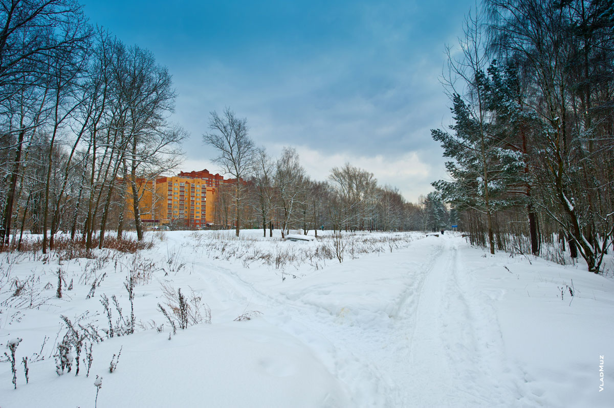 Зимний фотопейзаж города Королёва в районе улицы Мичурина, рядом с парком Лосиный остров