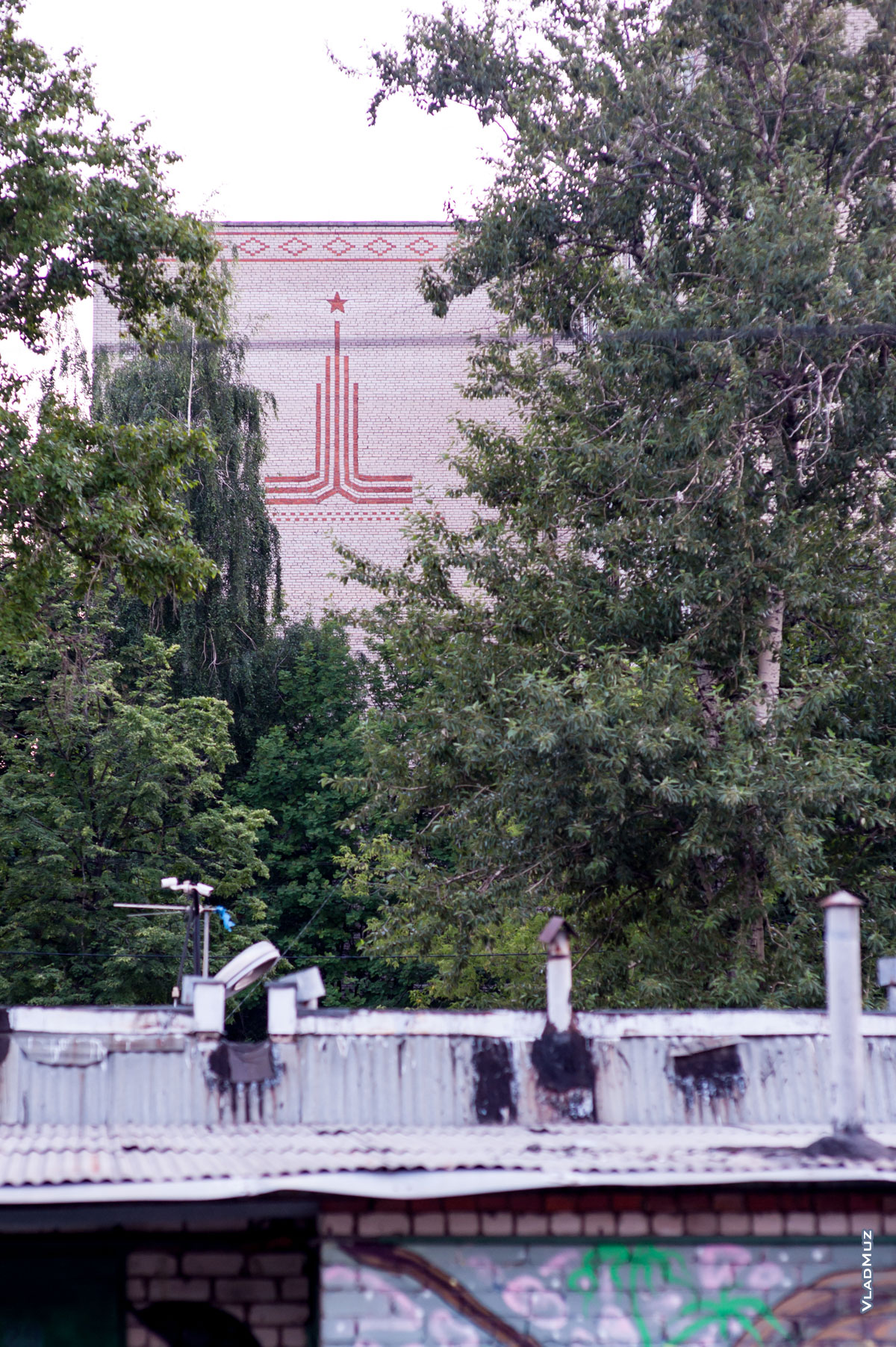 Фото эмблемы Олимпийских игр 1980 г. среди листвы на стене дома в г. Королёве Московской области