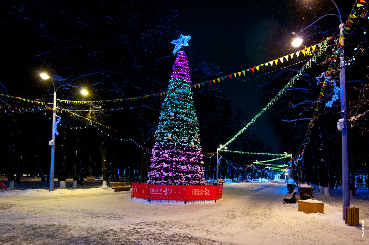 Зима в Подмосковье: новогодняя ёлка в Центральном городском парке г. Королёва Московской области