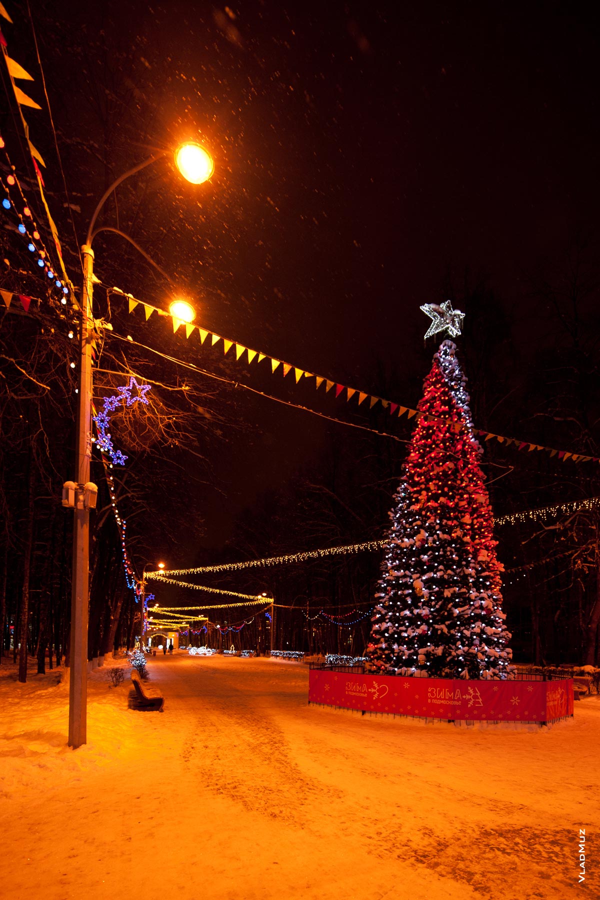 Фото зимы в Подмосковье: новогодней ёлки в Центральном парке г. Королёва, у ДК Калинина