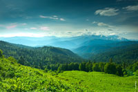 Этот горный фото пейзаж можно увидеть, если пройти лес у подножия гор и поле с травой по грудь