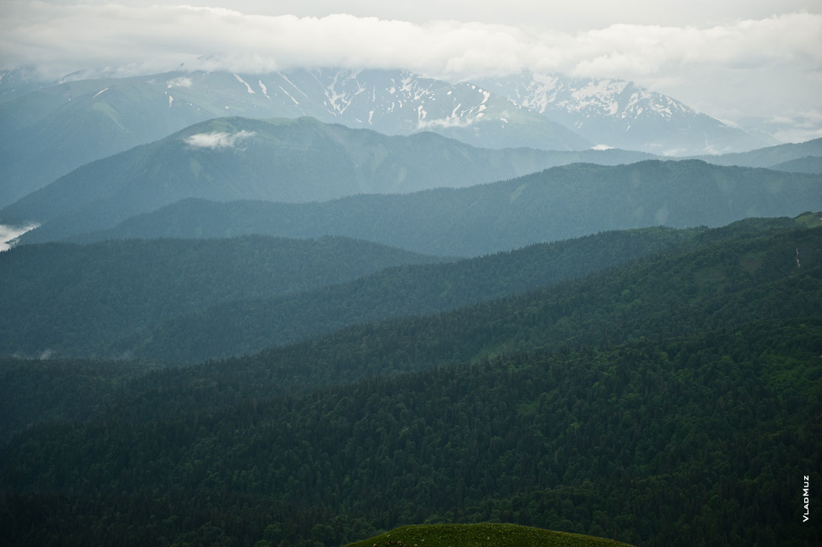 Горный фотопейзаж: впереди лесные горные склоны плато Лаго-наки, вдали горные хребты Кавказа