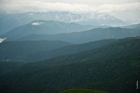Вид с плато Лаго-наки: на переднем плане лесные горные склоны, вдали — снежные горные хребты Кавказа