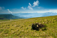 Луговые цветы, травянистые склоны на переднем плане, вдали - ряды горных хребтов Кавказа
