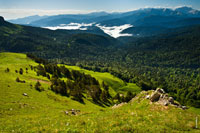 Фото сверху с горы на леса и лесистые горные склоны Лагонаки