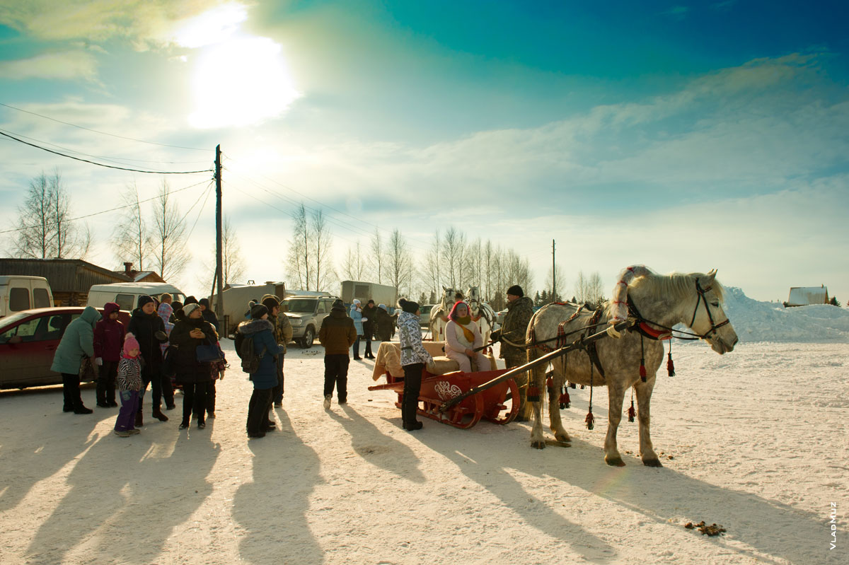 Сани для катания на лошадях в «Лудорвае» ждут всех желающих