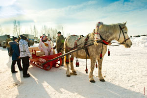 Катание на лошадях в «Лудорвае», фотографии