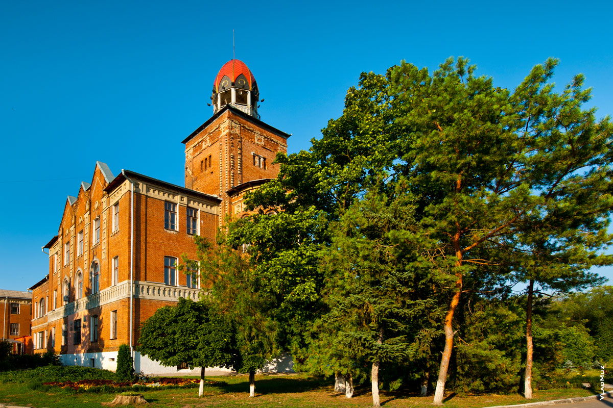Пейзажное фото ДонГАУ: здание учебного корпуса №2 с башней и деревья
