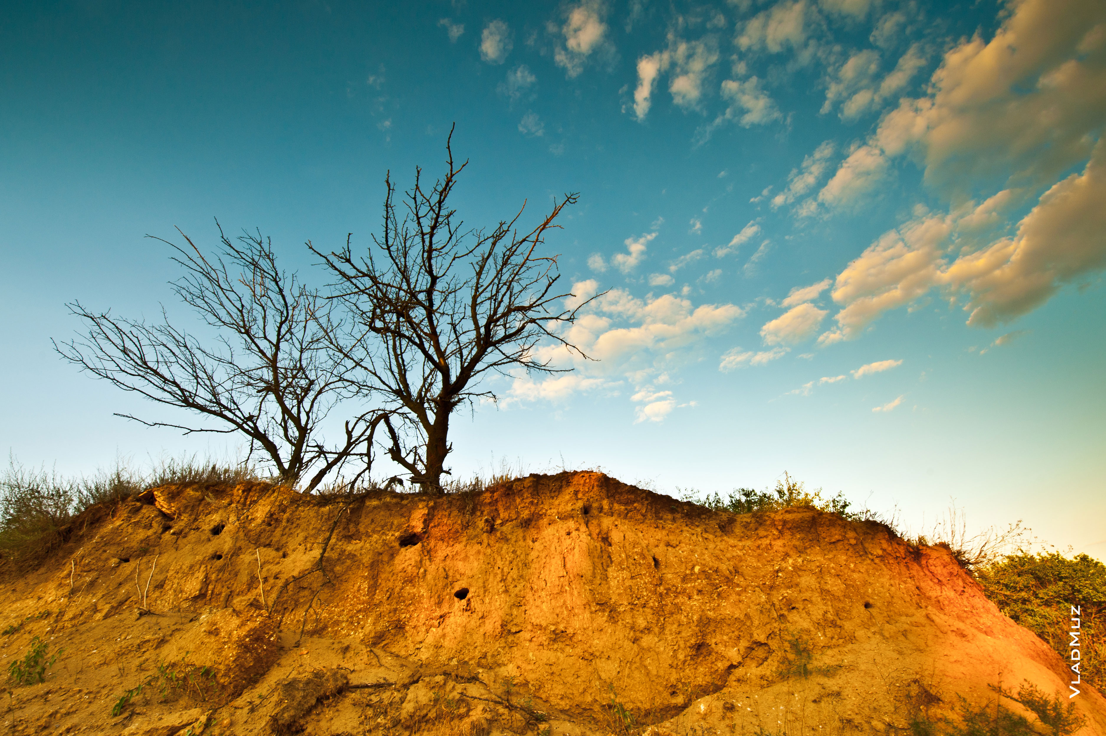 http://www.vladmuz.ru/travel_photos/novocherkassk/nature/14-big.jpg