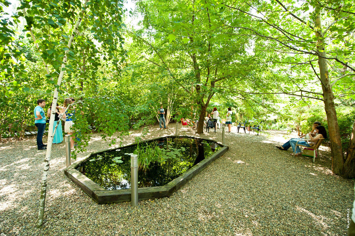 Фото пруда в центре гравийной площадки в окружении деревьев