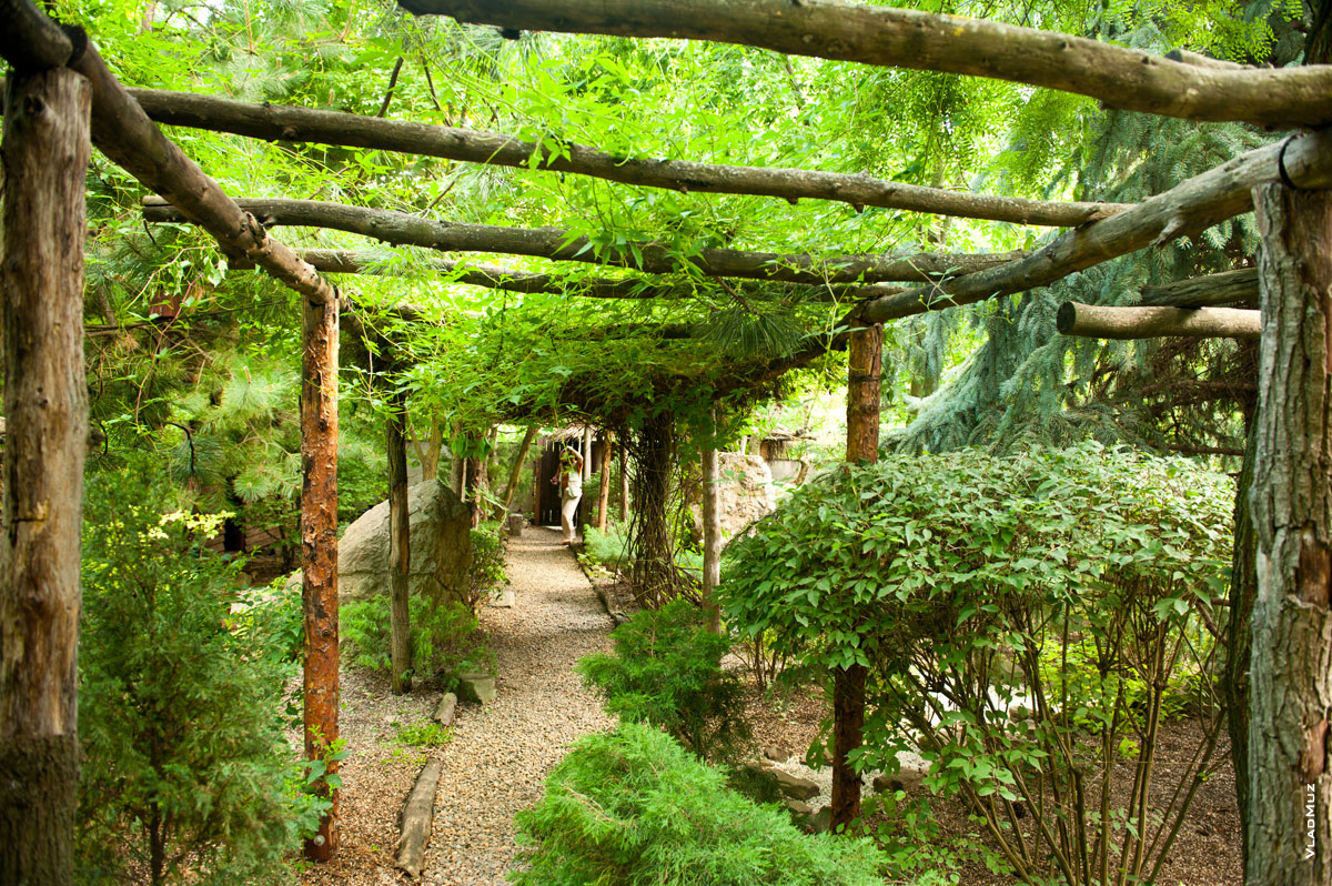 Фото вариант садовых арок в парке Толоконникова
