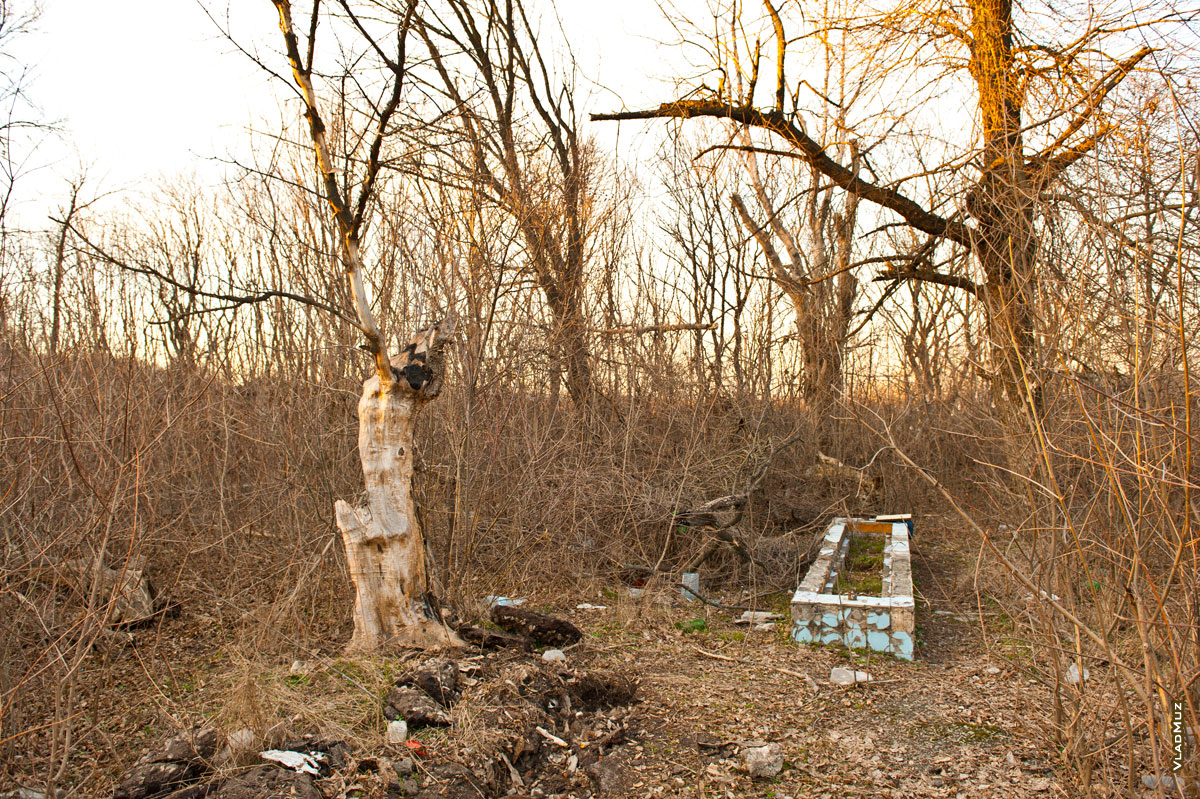 Фото разрушенных рукомойников в детском лагере «Звездочка Ильича» в Новочеркасске