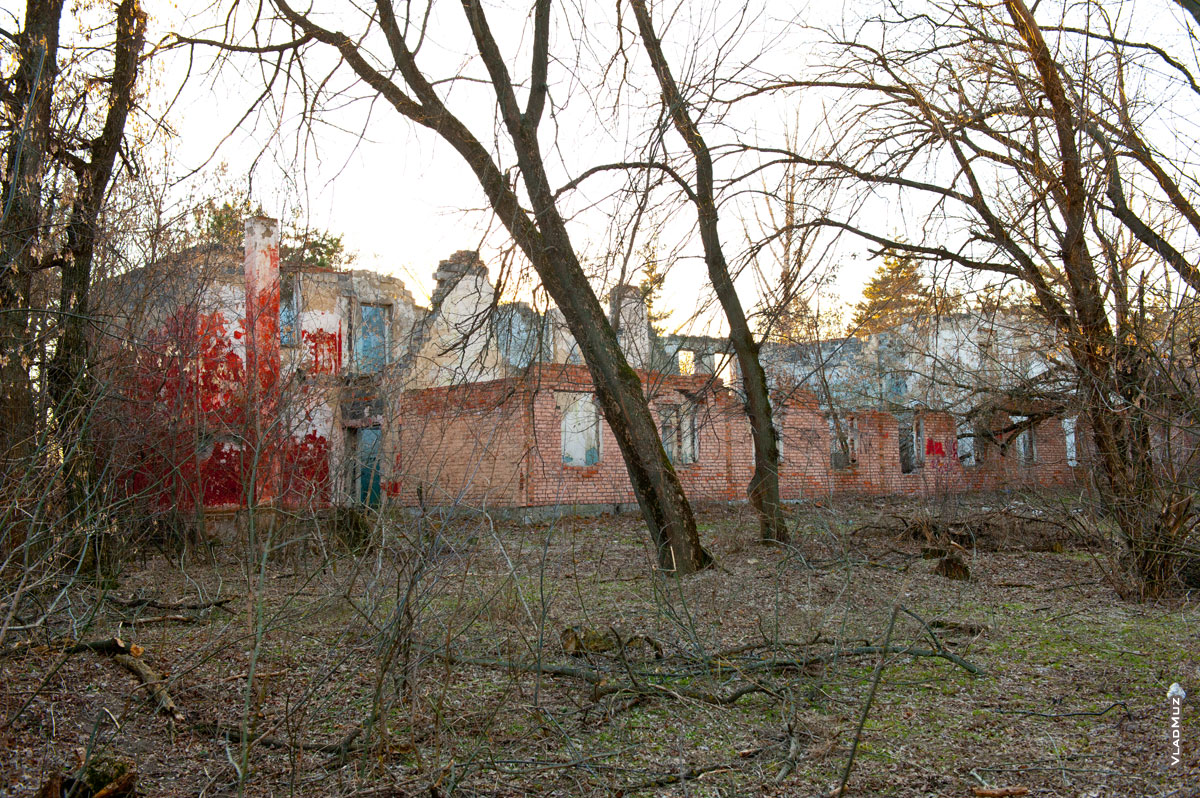 Фото разрушенных корпусов детского лагеря «Звездочка Ильича» в Новочеркасске