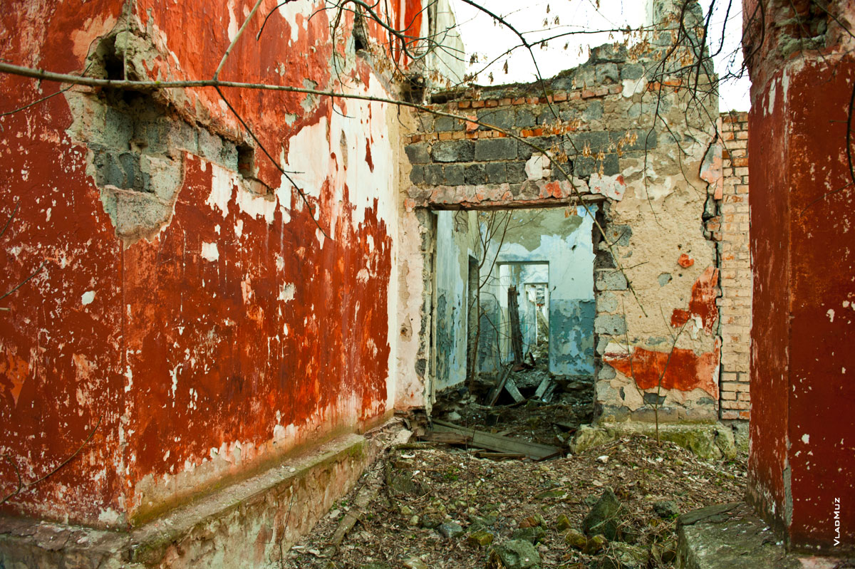 Фото развалин корпусов детского лагеря «Звездочка Ильича» в Новочеркасске