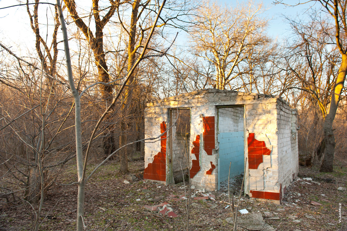 Фото развалин туалетов детского лагеря «Звездочка Ильича» в Новочеркасске