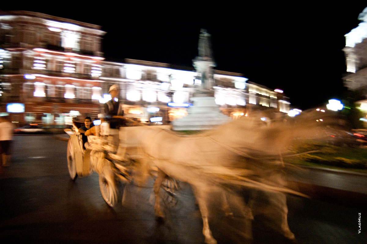 Фото 16 города Одессы - кареты в ночном городе