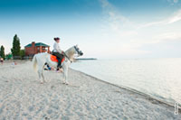 Фото девушки на белом коне на берегу Павло-Очаковской косы