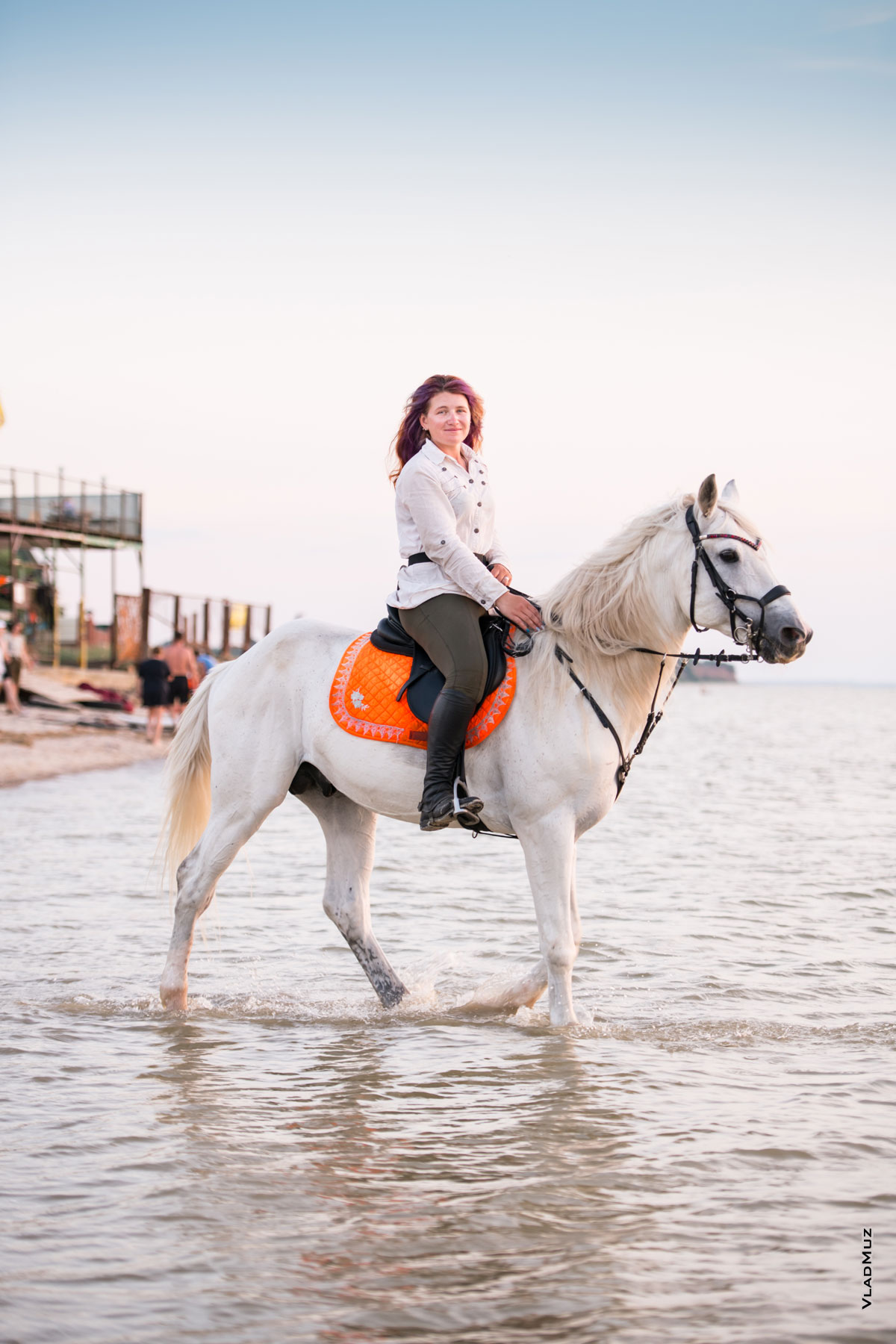 Фото девушки на белом коне, на берегу Азовского моря