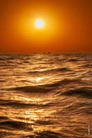 �����-���������� ����. ���� ������