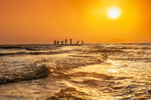 �����-���������� ����. ���� ������