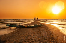 �����-���������� ����. ���� ������