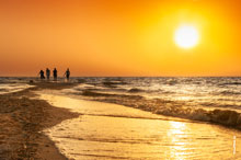 �����-���������� ����. ���� ������