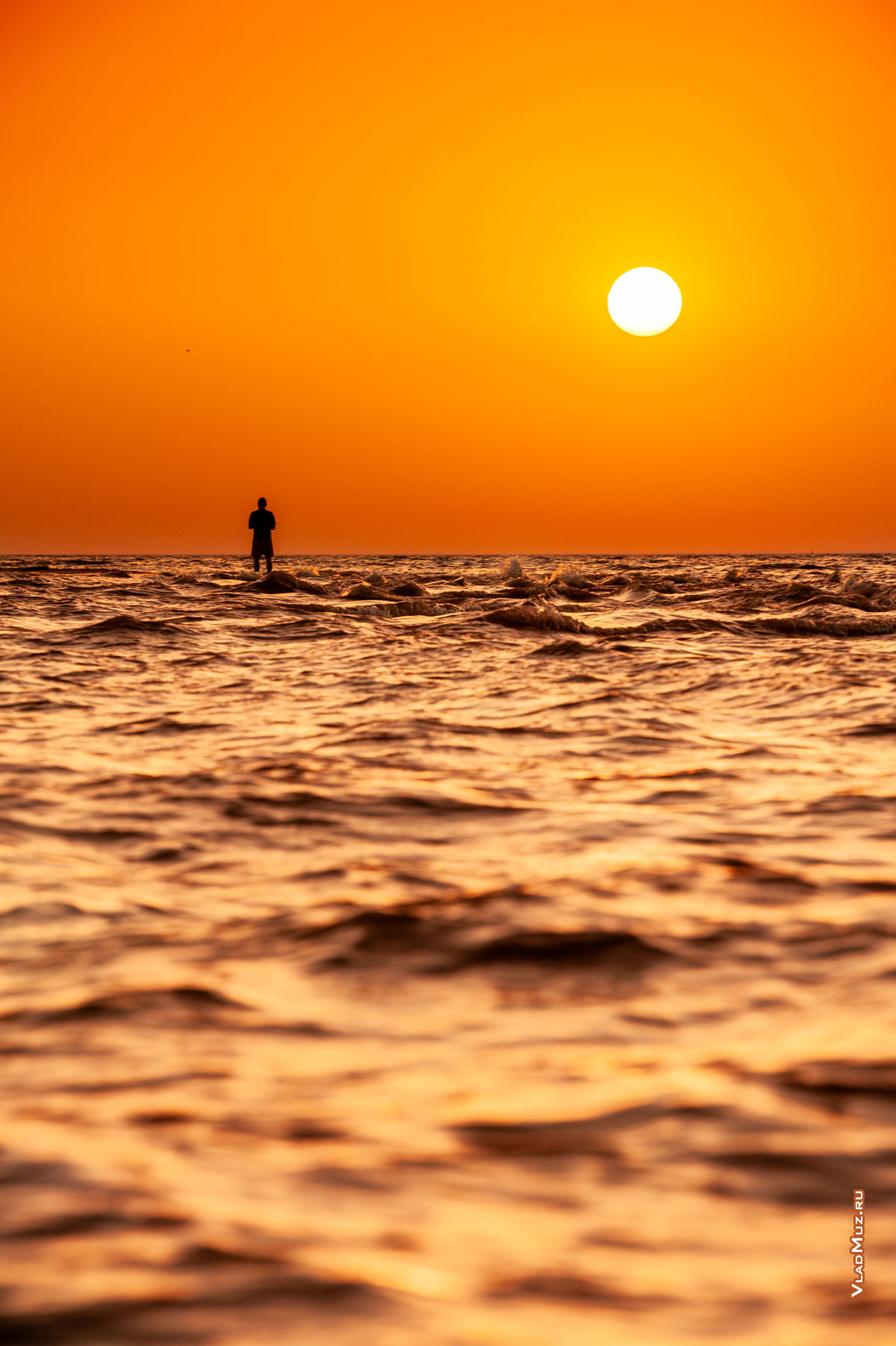 �����-���������� ����. ���� ������ �� ������