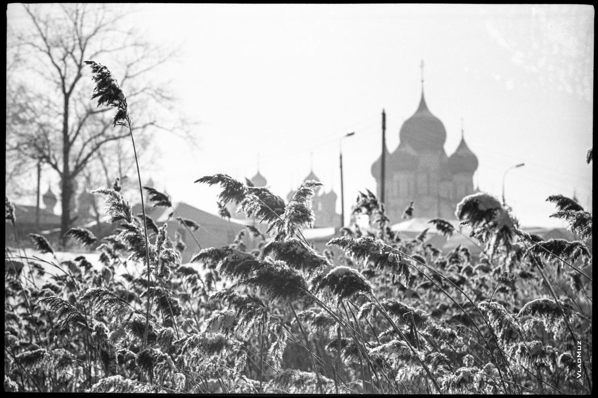 Черно-белое фото куполов Ростовского кремля в Ростове Великом на фоне тростника
