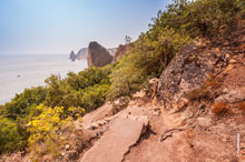 Фото каменных склонов и сосен у лестницы к морю на Фиоленте