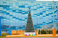 Фото елки на фоне дворца зимнего спорта «Айсберг»