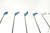 Фото олимпийских флагов «Сочи 2014» на флагштоках