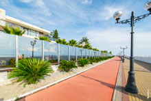 Фото ландшафта возле отелей с пальмами и стеклянным забором на Имеретинской набережной в Адлере (Сочи)