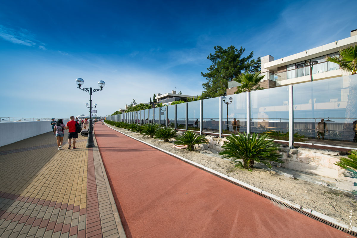 Фото отелей с пальмами за стеклянным забором на Имеретинской набережной в Адлере (Сочи)