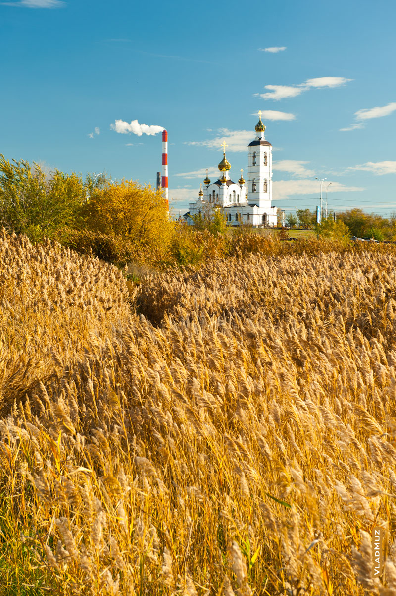Фото пейзаж с зарослями тростника, Свято-Ильинским храмом и трубой ТЭЦ в Волгодонске