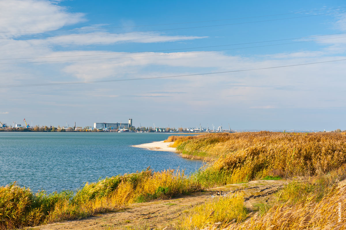 Фото тростника на берегу Сухо-Соленовского залива в Волгодонске, прибрежные постройки и портовые краны